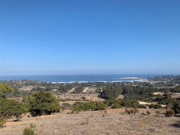 Sitio en Venta en Zapallar
