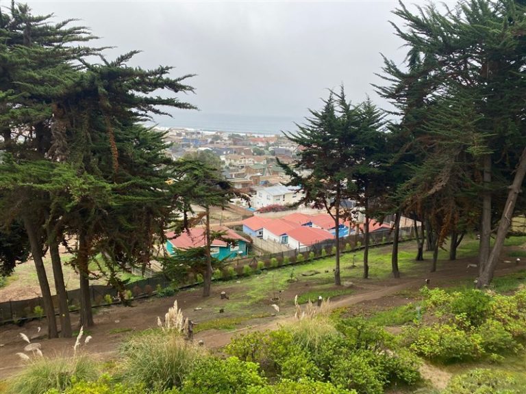 Departamento en Venta en Zapallar